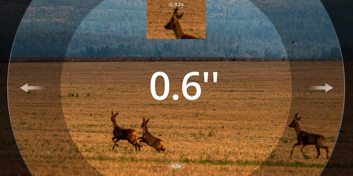 HIKMICRO ALPEX PRO mit verlustfreier 2,3-facher Vergrößerung und 0,6-Zoll-AMOLED-Display zur präzisen Detailerkennung bei der Nachtjagd