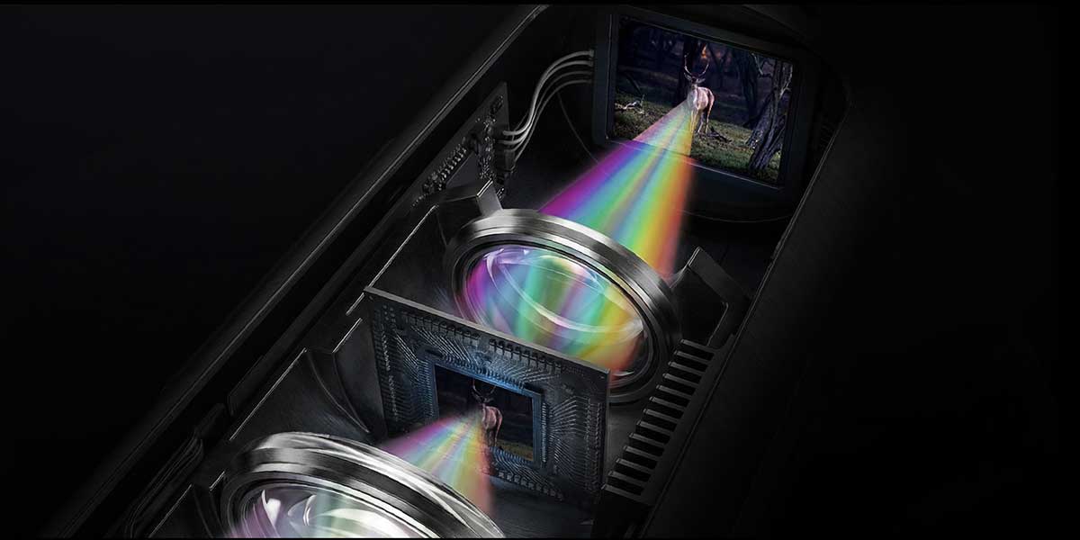 HIKMICRO ALPEX PRO mit LIGHT Pro Algorithmus zur Optimierung der Bildhelligkeit bei Restlicht und Nachtjagd