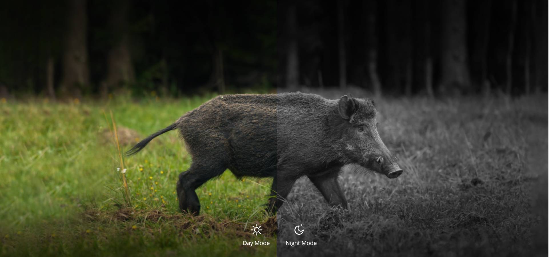 Nachsicht Geräte und Wärmebildkameras für die Jagd